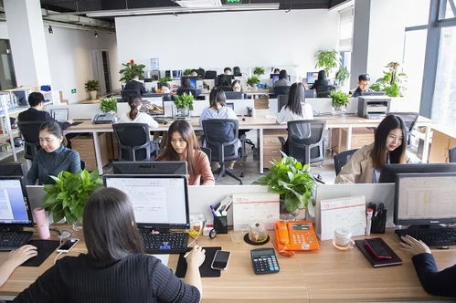 专注于人，专业于事 你该选择这样的劳务派遣服务